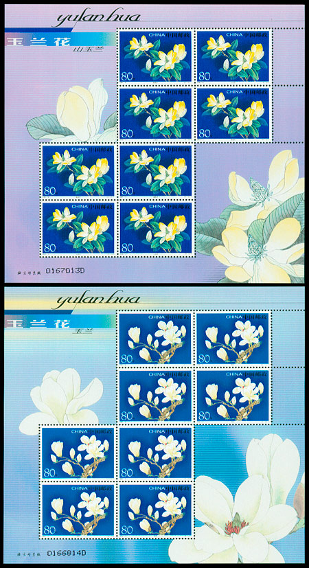 2005-5(4-1,2) 玉兰花(T)